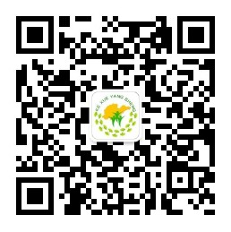 山东省科学养生协会-银河·国际网站www9992019下载公众号.png