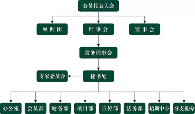 山东省科学养生协会-银河·国际网站www9992019下载组织构架(图1)
